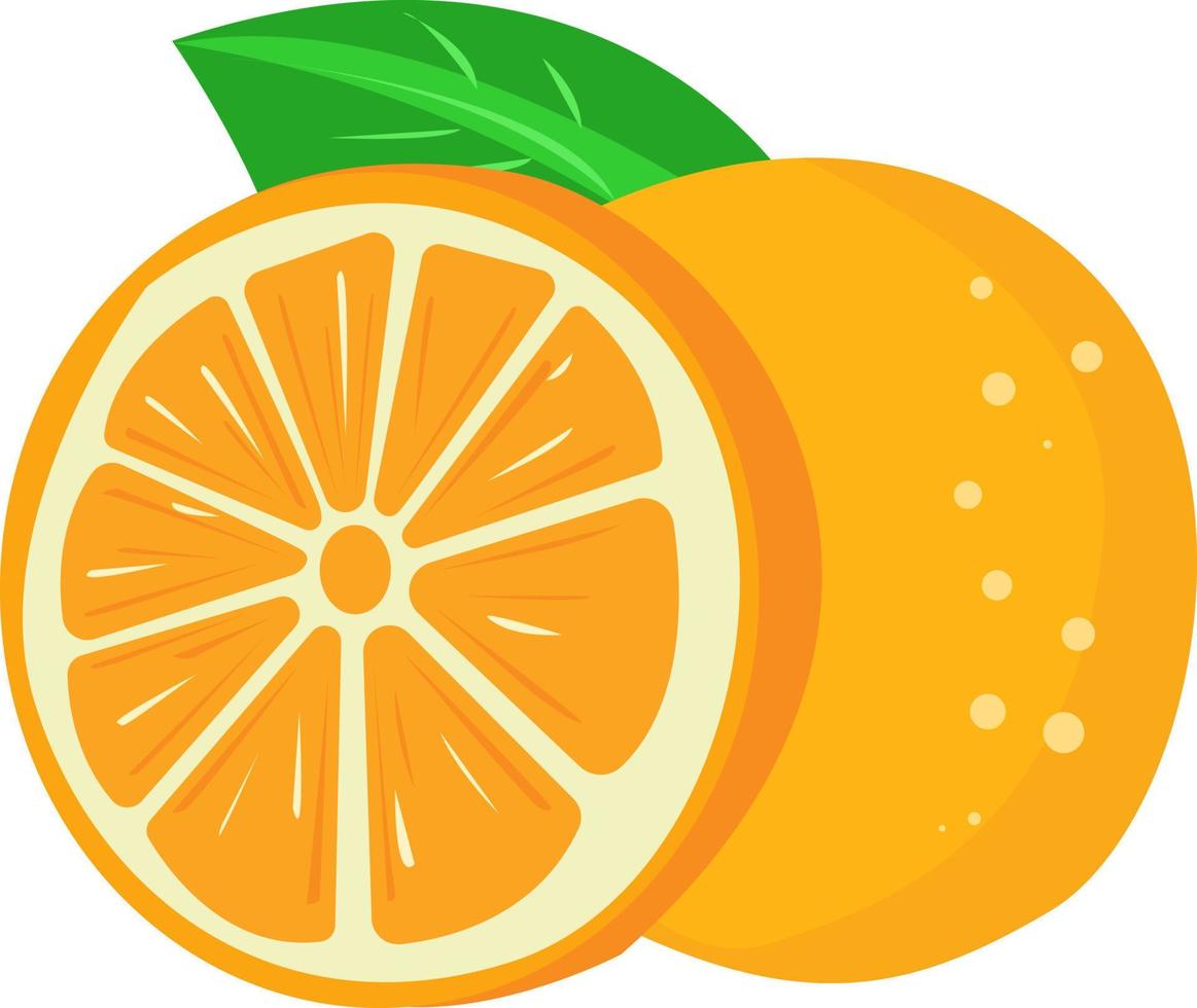 saftige Orange, Illustration, Vektor auf weißem Hintergrund