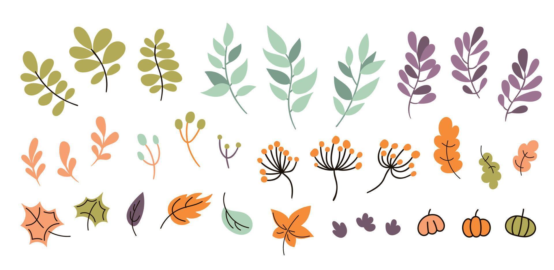 ig-doodle-set von handgezeichneten herbst-blumenmusterelementen. Herbstelemente Blätter, Blumen auf weißem Hintergrund für Herbst, landwirtschaftliche Ernte, Thanksgiving oder Halloween-Designs vektor