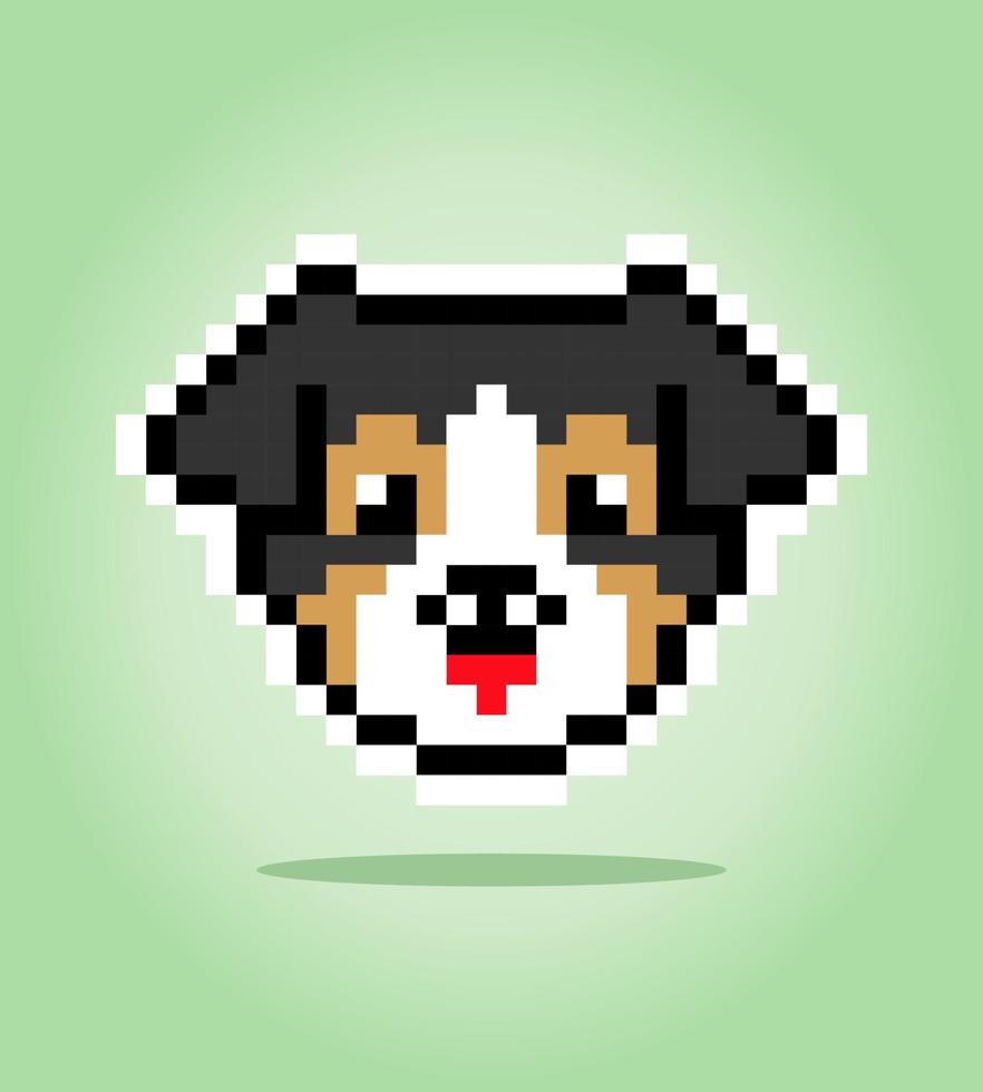 8 bitars pixel av australisk herdehund. djurhuvud för tillgångsspel i vektorillustrationer. korsstygnsmönster. vektor