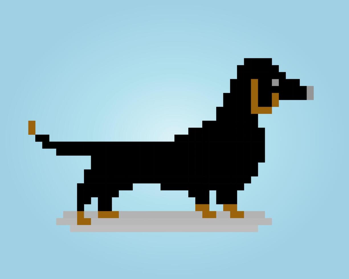 8-Bit-Pixel des Hundes der Dackelrasse. Tier für Asset-Spiele in Vektorgrafiken. Kreuzstichmuster. vektor