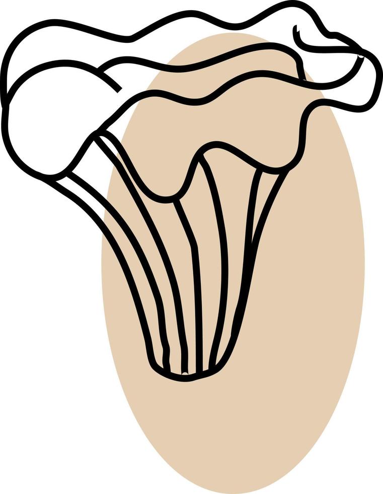 actarius svamp, illustration, vektor på en vit bakgrund