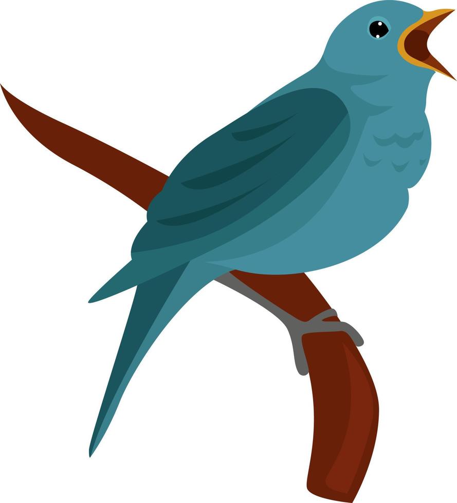 näktergal fågel , illustration, vektor på vit bakgrund