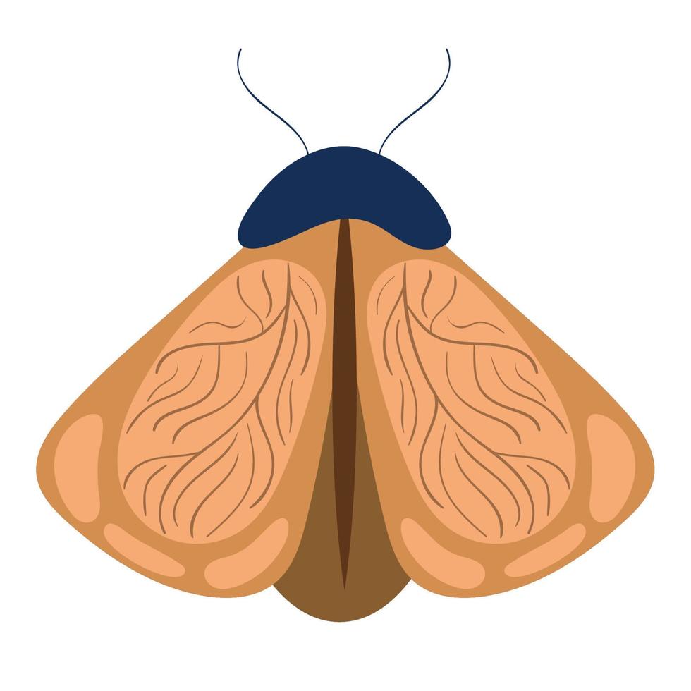 Symbol für Mottenkäfer vektor