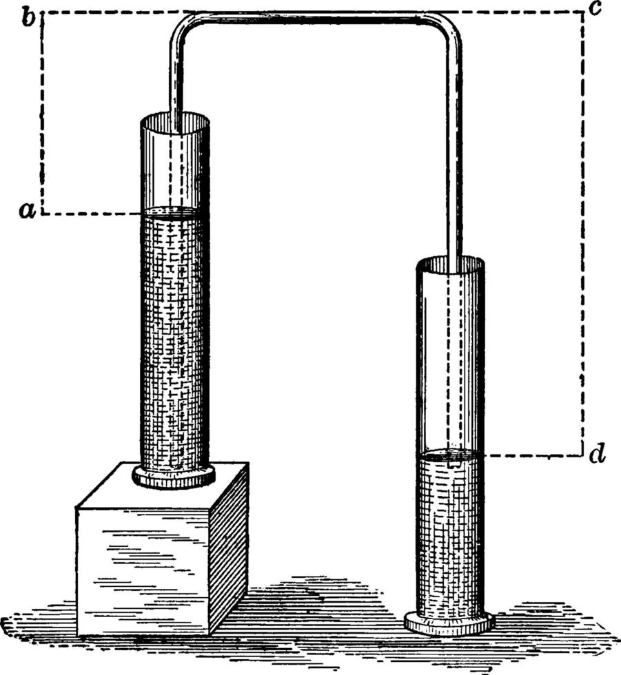 sifon, årgång illustration. vektor