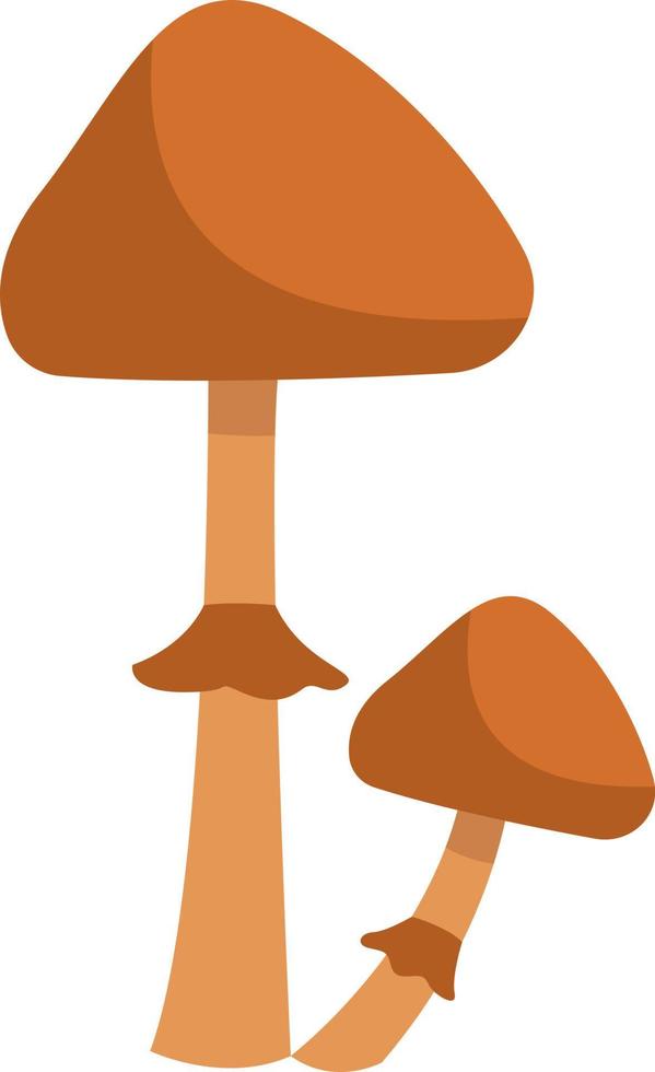 Zwei Conocybe-Filaris-Pilze, Symbolabbildung, Vektor auf weißem Hintergrund