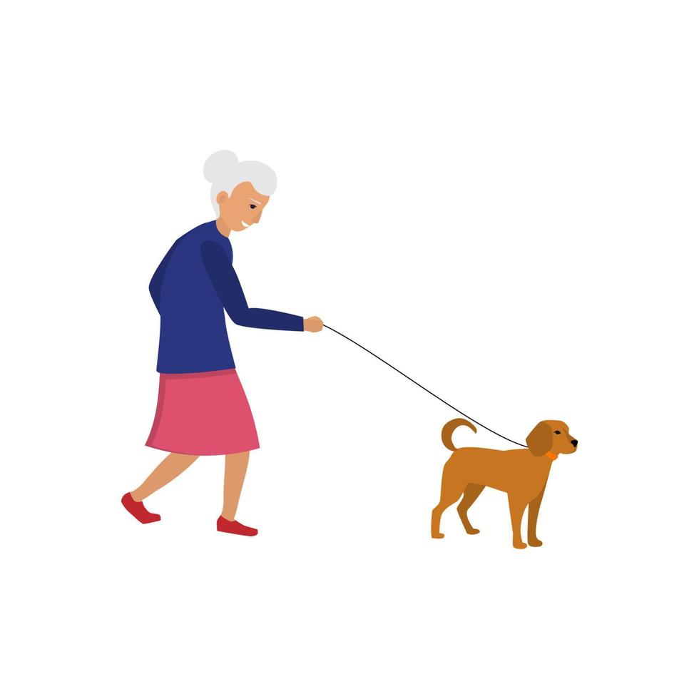 mormor promenader i de parkera med henne hund vektor