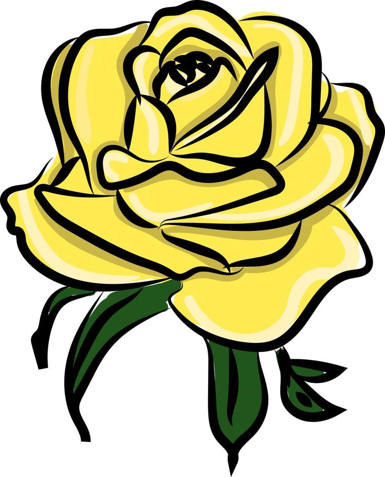 gelbe Rose, Illustration, Vektor auf weißem Hintergrund.
