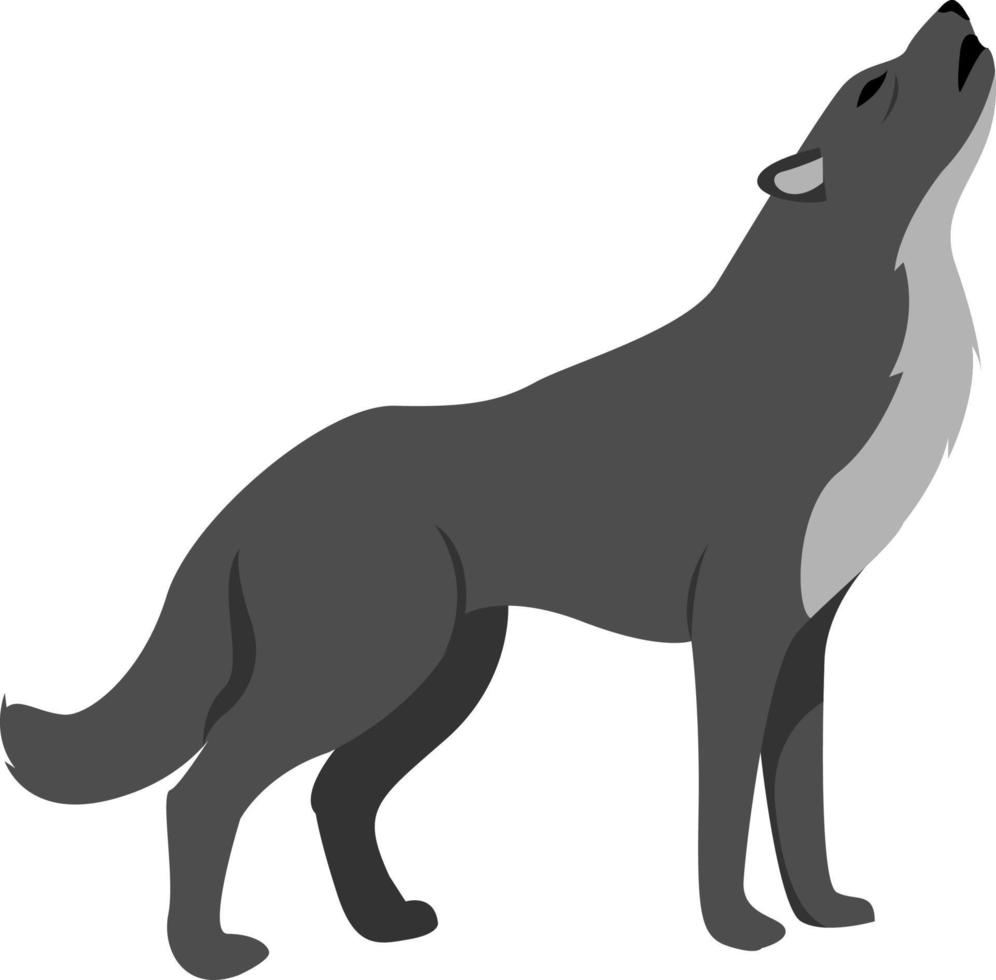 schwarzer Wolf, Illustration, Vektor auf weißem Hintergrund.