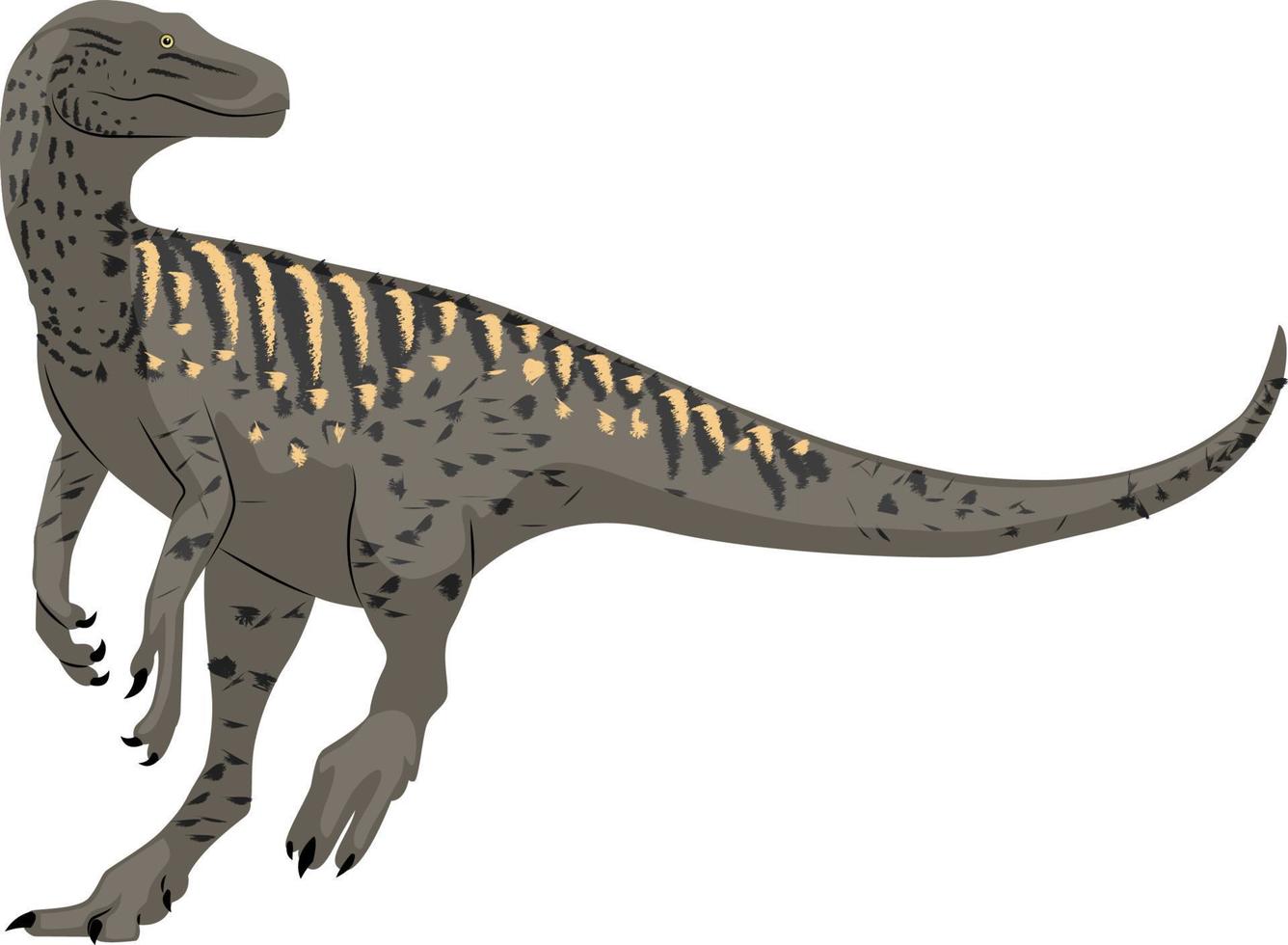 Herrerasaurus, Illustration, Vektor auf weißem Hintergrund.