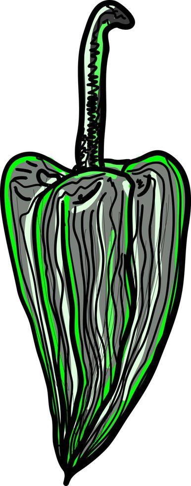grön peppar teckning, illustration, vektor på vit bakgrund.
