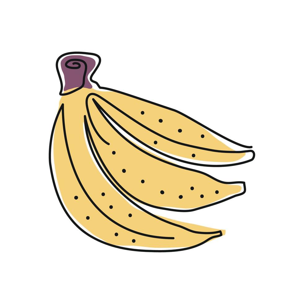Bananenfrucht Strichzeichnung vektor