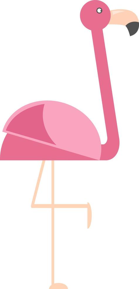 Flamingo, Illustration, Vektor auf weißem Hintergrund.