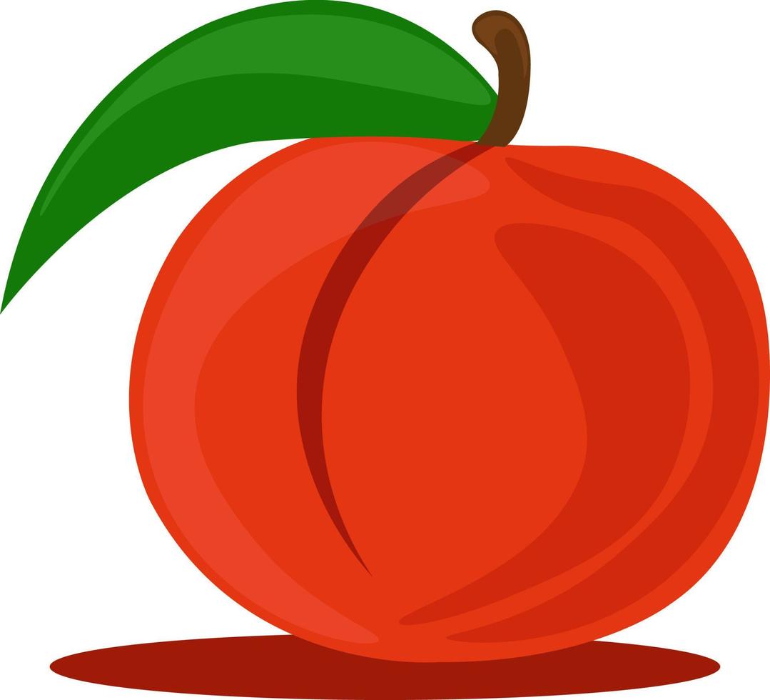 färsk persika, illustration, vektor på vit bakgrund.
