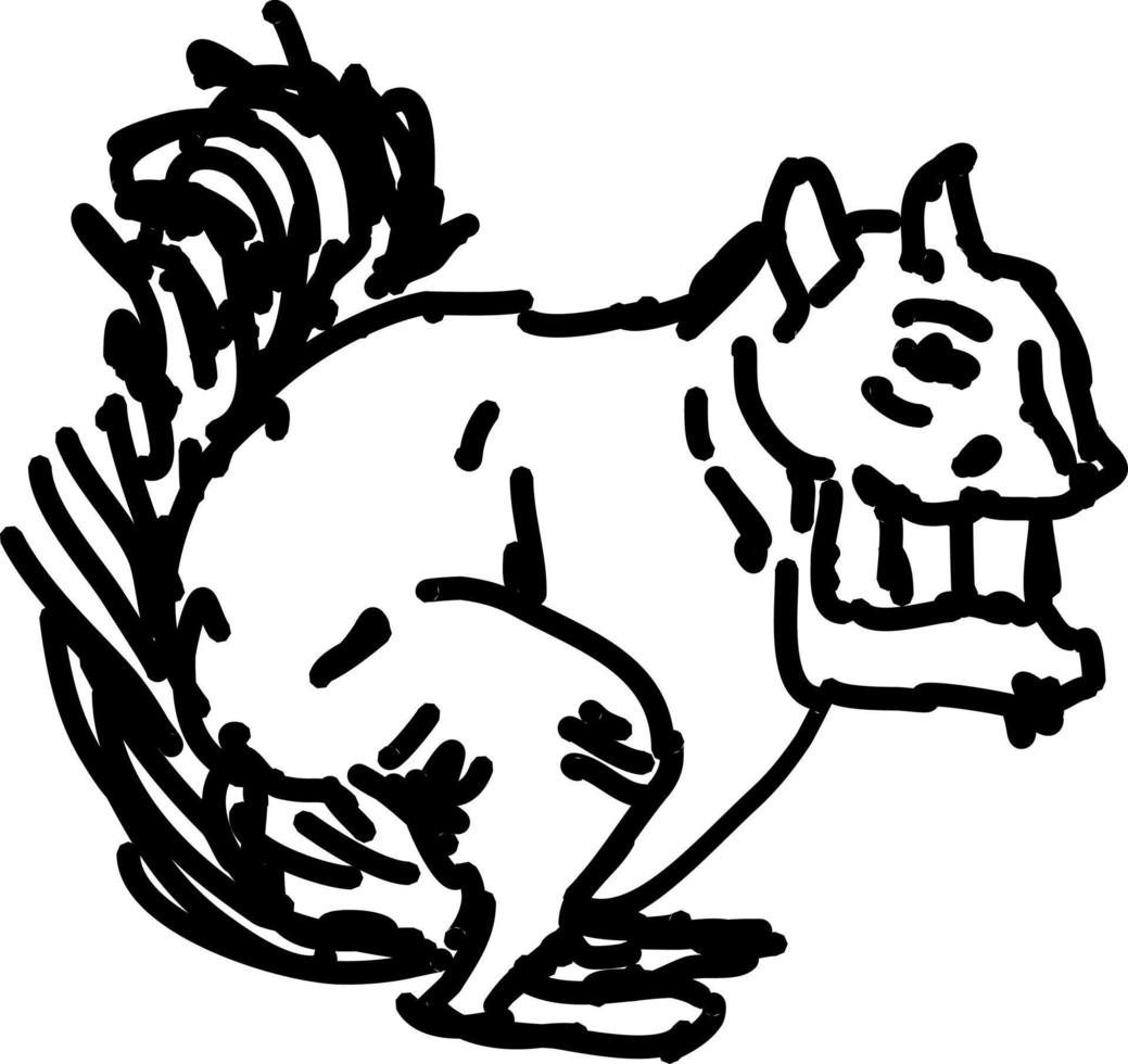Eichhörnchenzeichnung, Illustration, Vektor auf weißem Hintergrund.