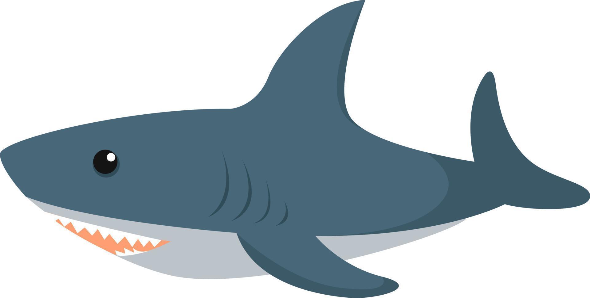 Blauhai, Illustration, Vektor auf weißem Hintergrund
