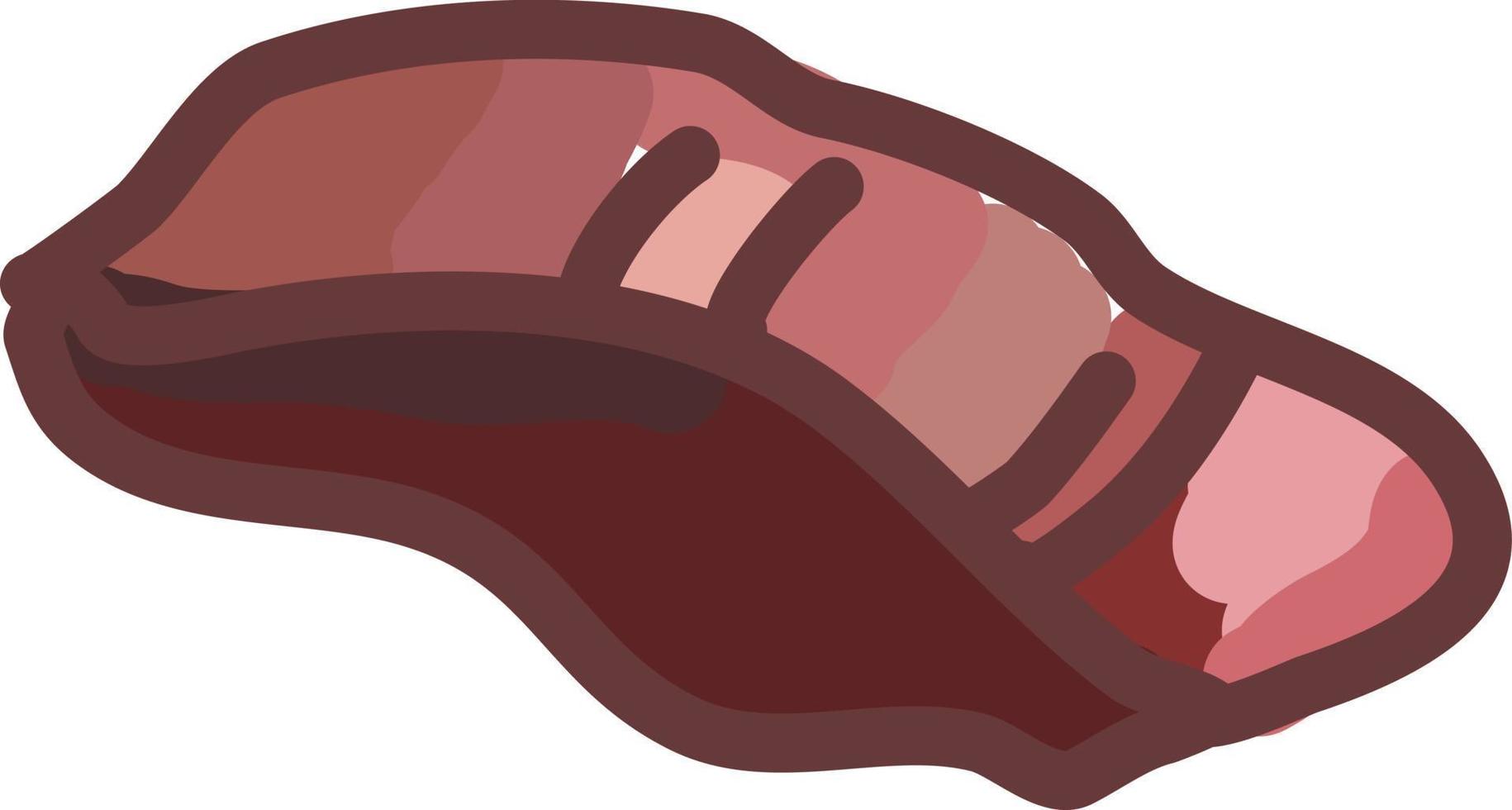 rotes Fleisch, Illustration, Vektor auf weißem Hintergrund.