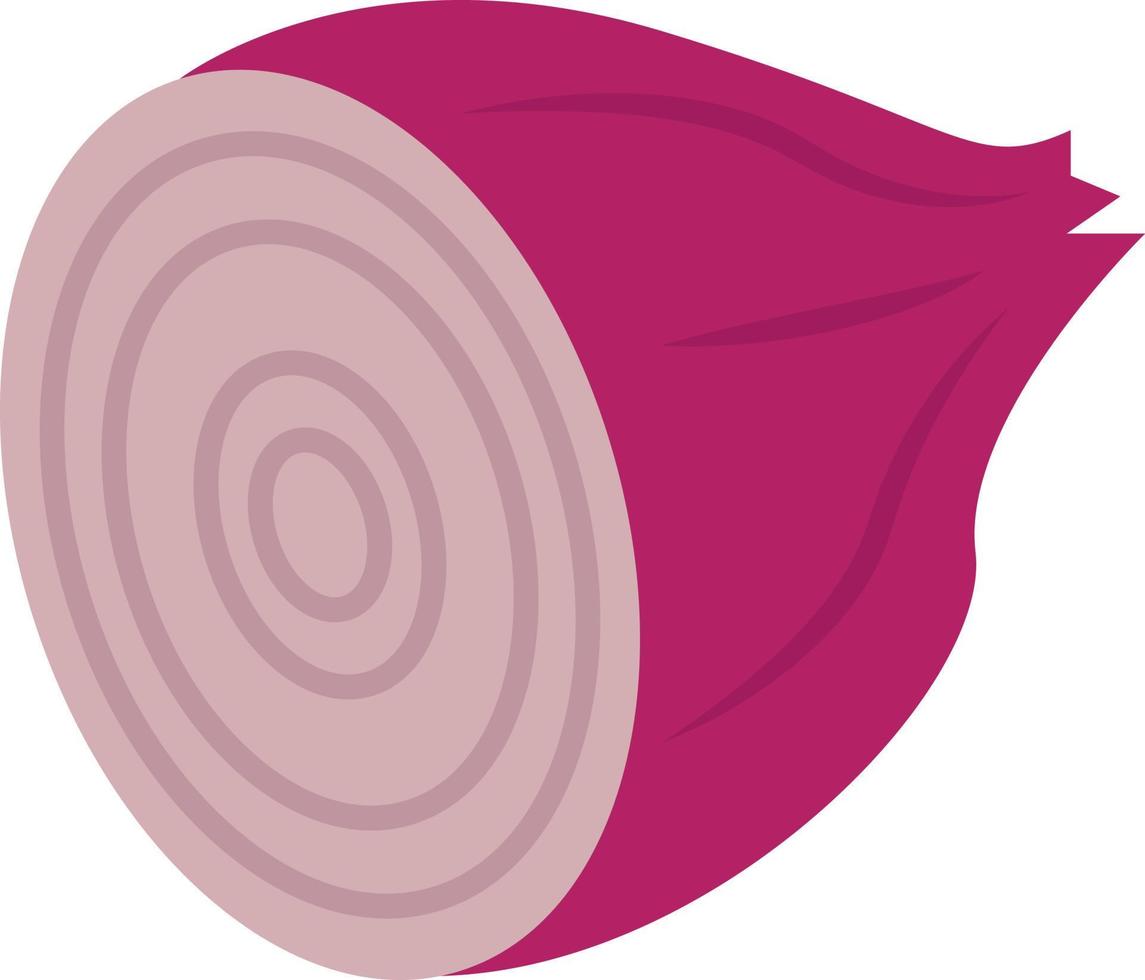 rote Zwiebel, Illustration, Vektor auf weißem Hintergrund.