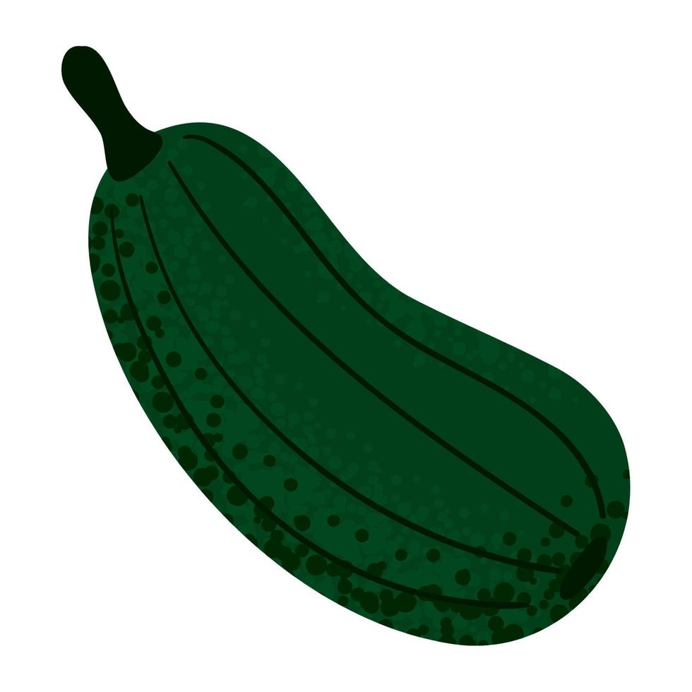 Symbol für Zucchini-Gemüse vektor