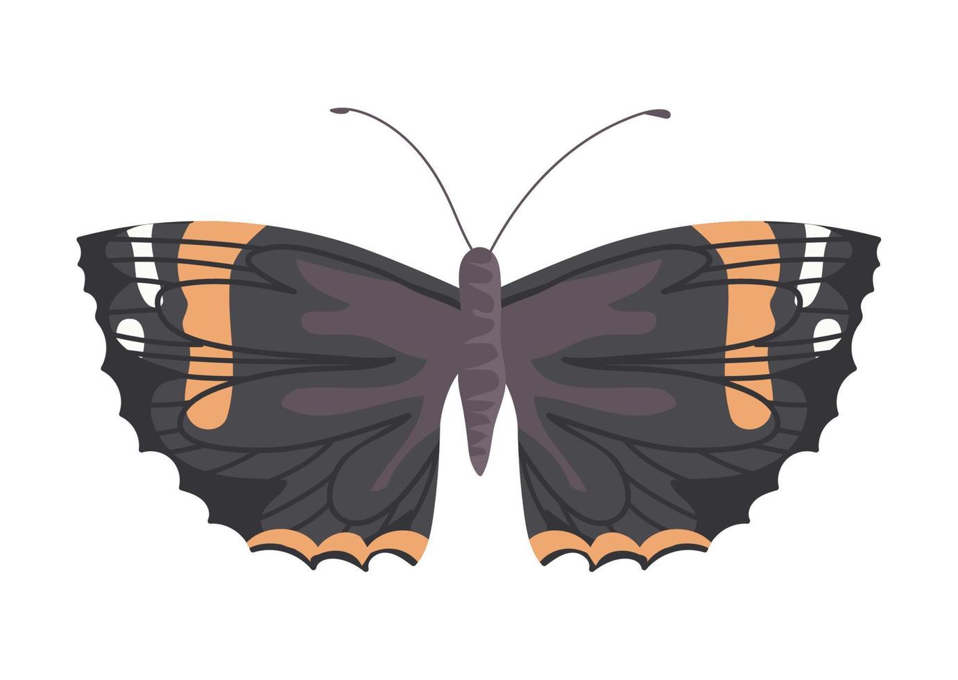 flacher Schmetterling auf weißem Hintergrund vektor