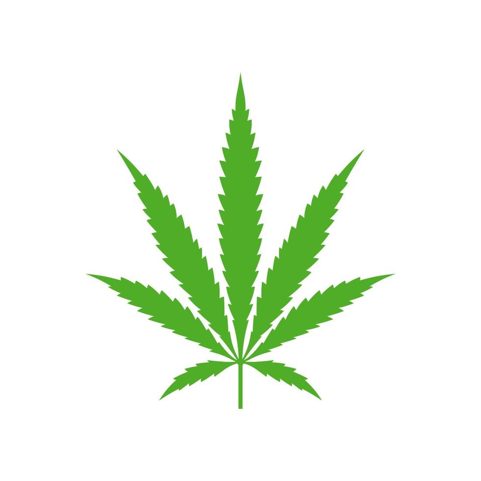 cannabis blad vektor.växer medicinsk marijuana. vektor