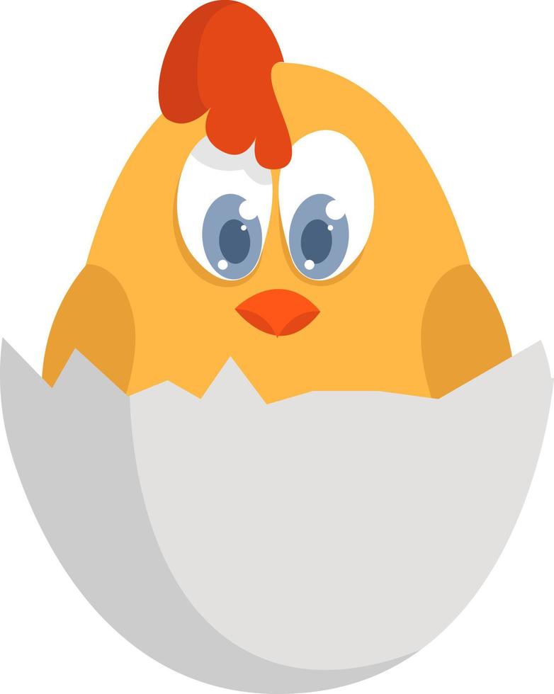 kyckling i äggskal , illustration, vektor på vit bakgrund