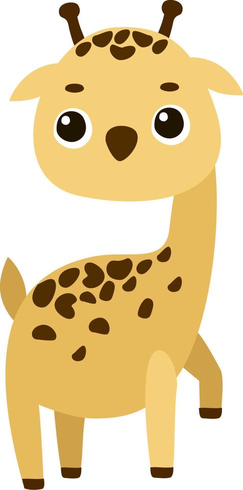 söt giraff, illustration, vektor på vit bakgrund.