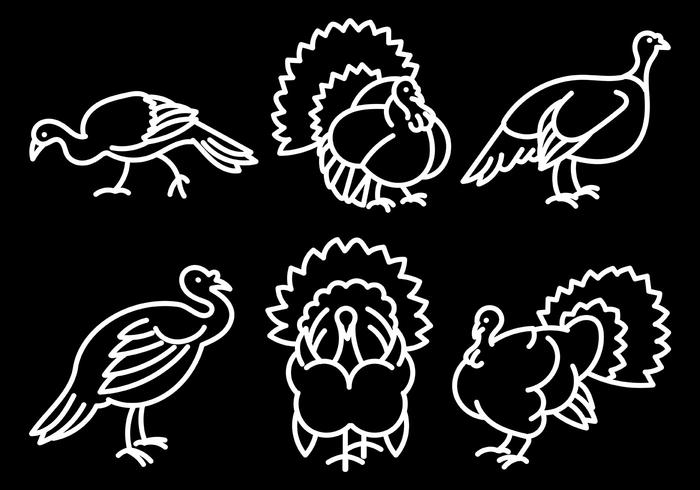 Kostenlos Wild Turkey Icons Vector