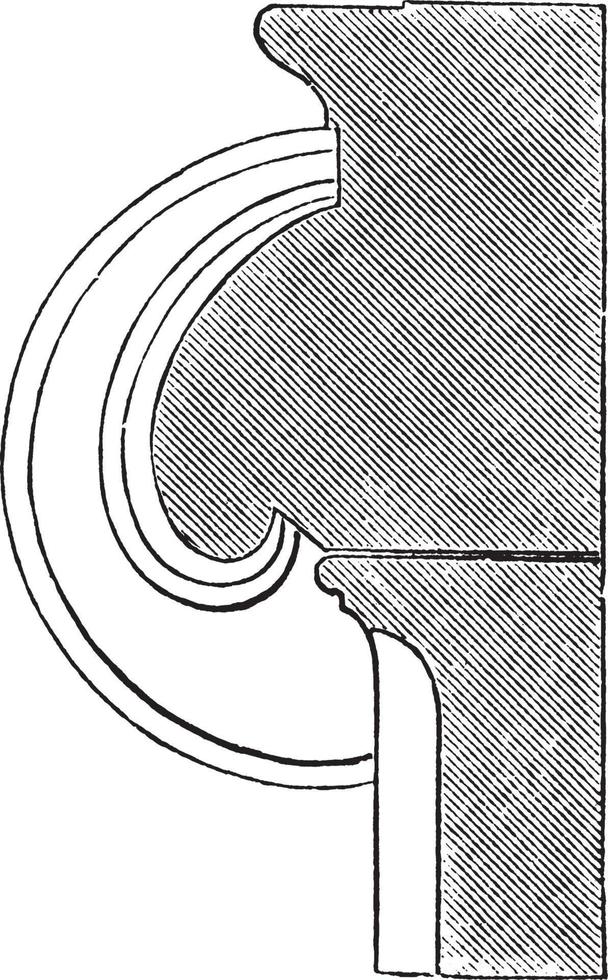 Abschnitt einer Spirale eines ionischen Kapitells, ausgehöhlt, Vintage-Gravur. vektor