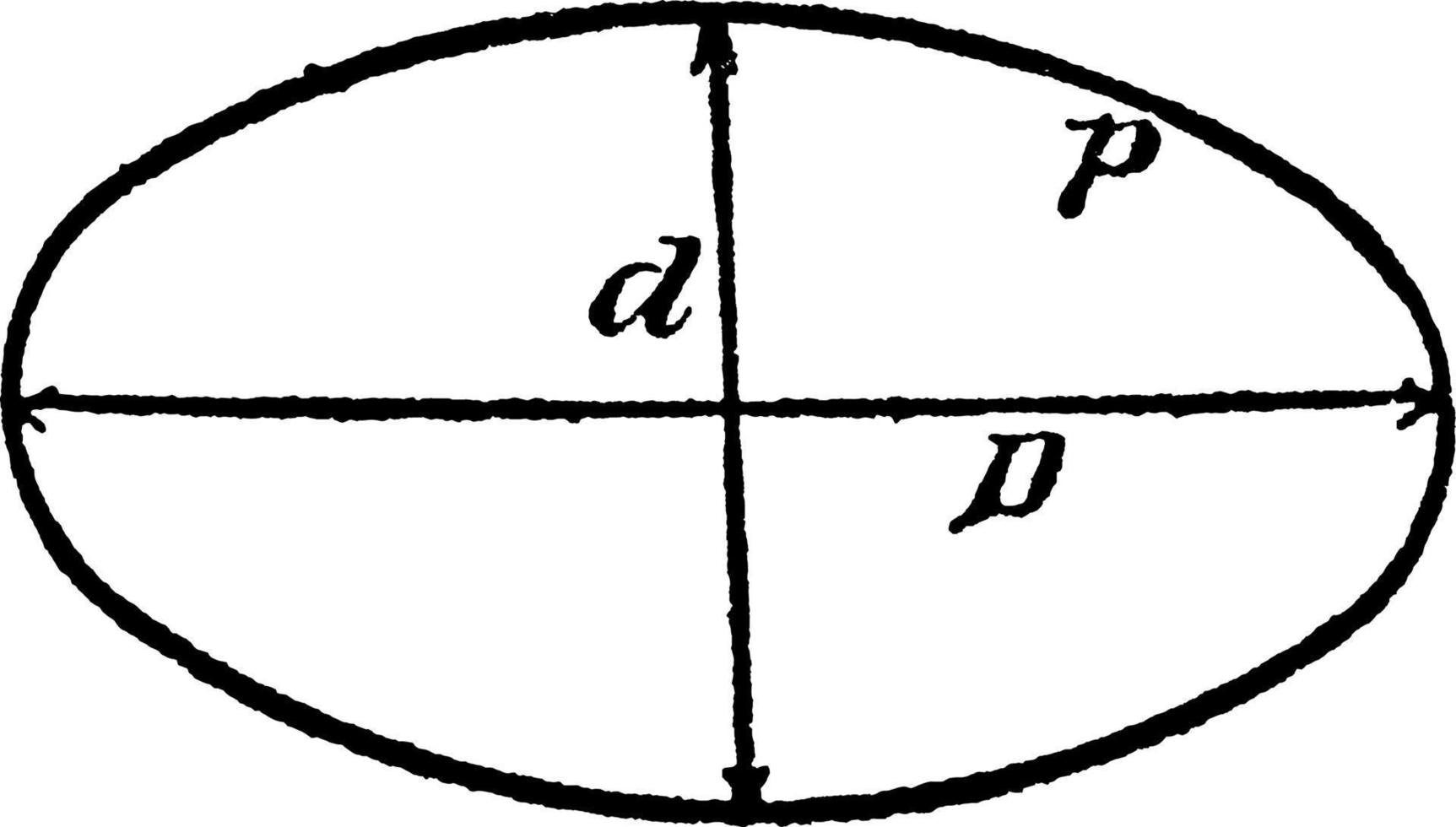 ellips, årgång illustration. vektor
