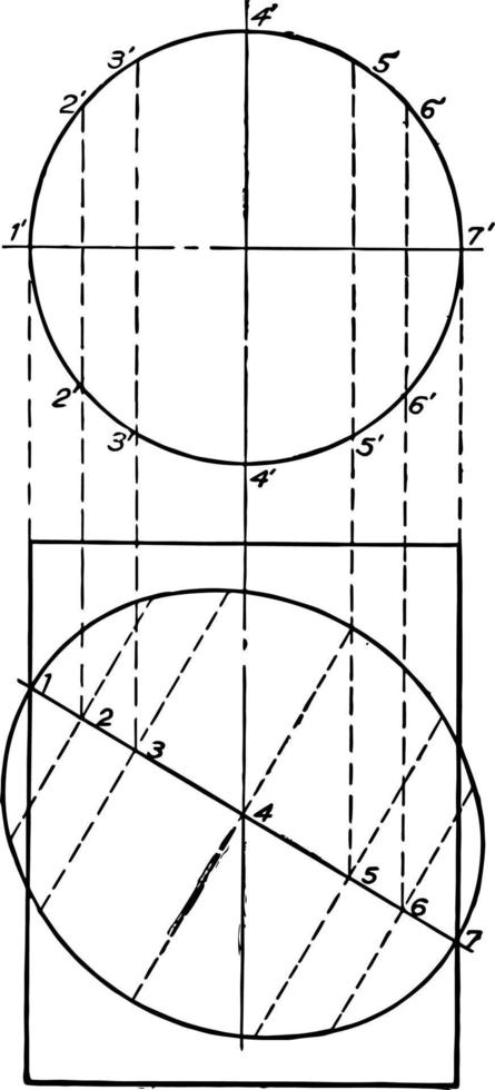 sektion av en cylinder som visar ett ellips årgång illustration. vektor