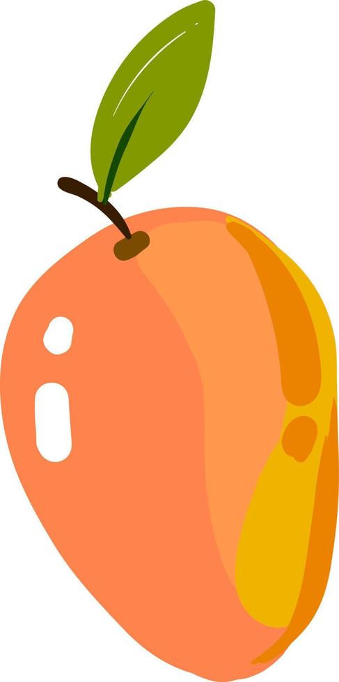 färsk mango, illustration, vektor på vit bakgrund.