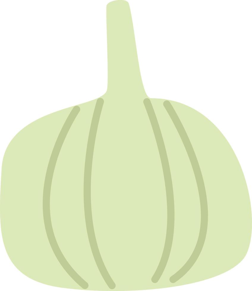 grüner Knoblauch, Illustration, Vektor, auf weißem Hintergrund. vektor