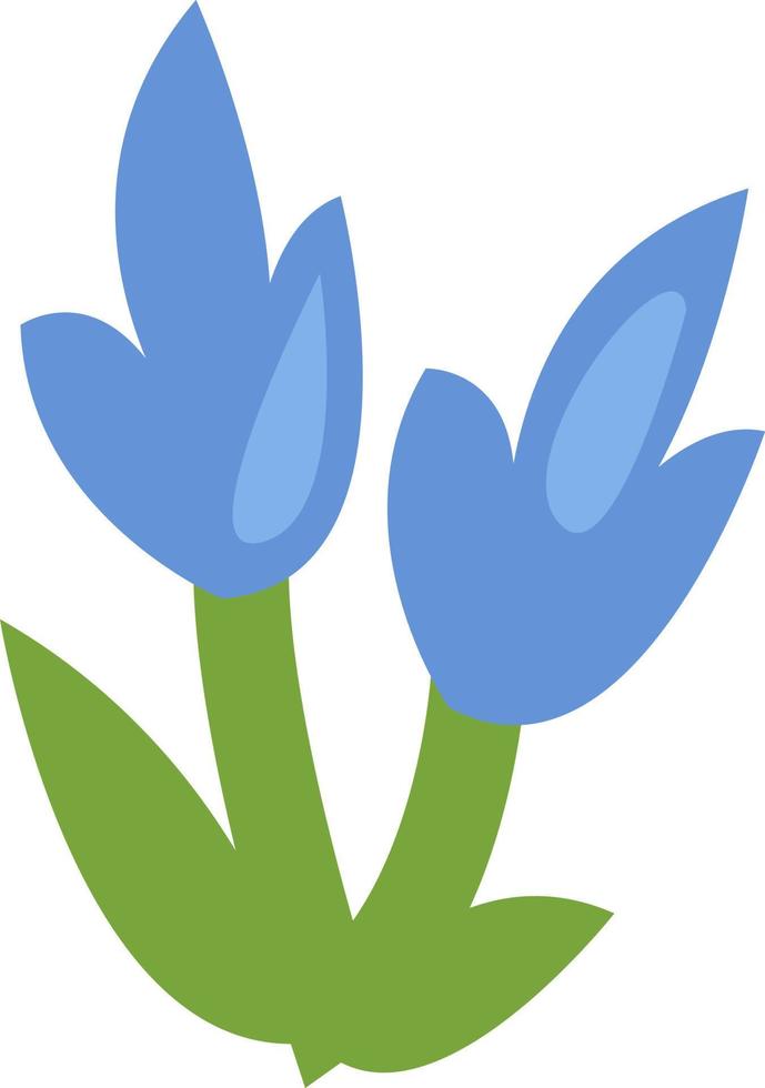 två blå blommor, illustration, vektor på en vit bakgrund.