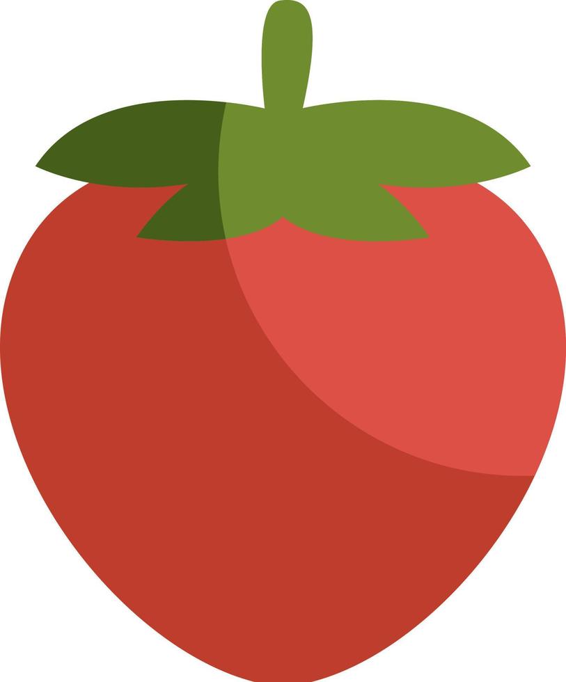 rote Tomate, Illustration, Vektor auf weißem Hintergrund.