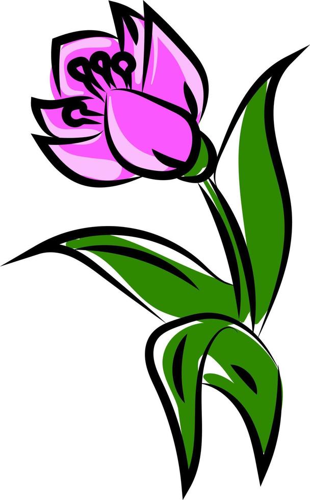 rosa Blume, Illustration, Vektor auf weißem Hintergrund.