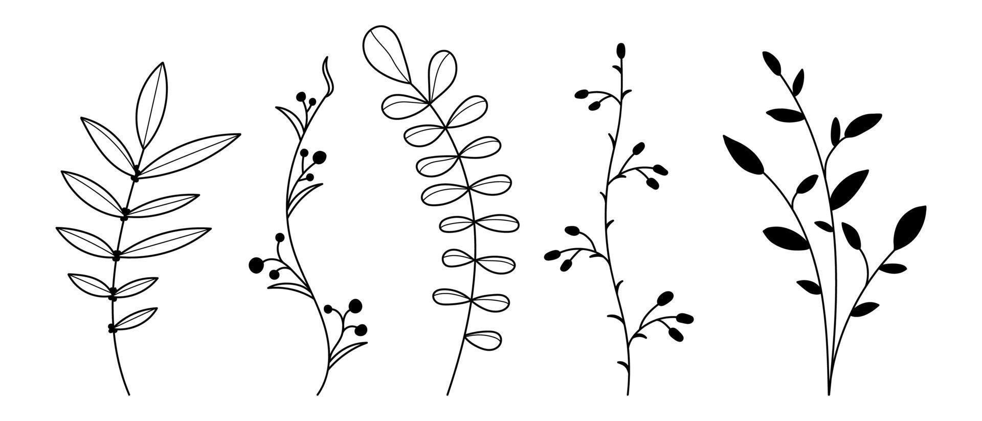 satz von vektorpflanzen und kräutern. handgezeichnete florale Elemente. Silhouetten natürlicher Elemente für saisonale Hintergründe. Vektor-Illustration vektor