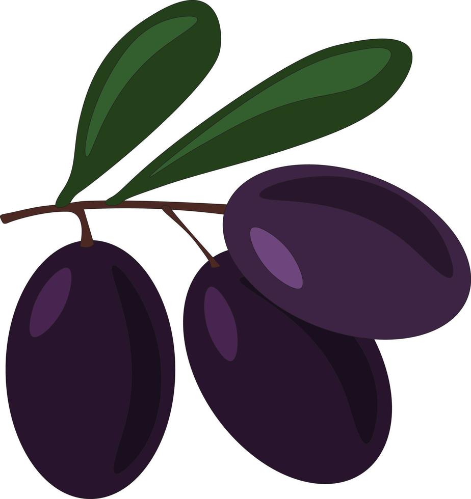 oliver, illustration, vektor på vit bakgrund.