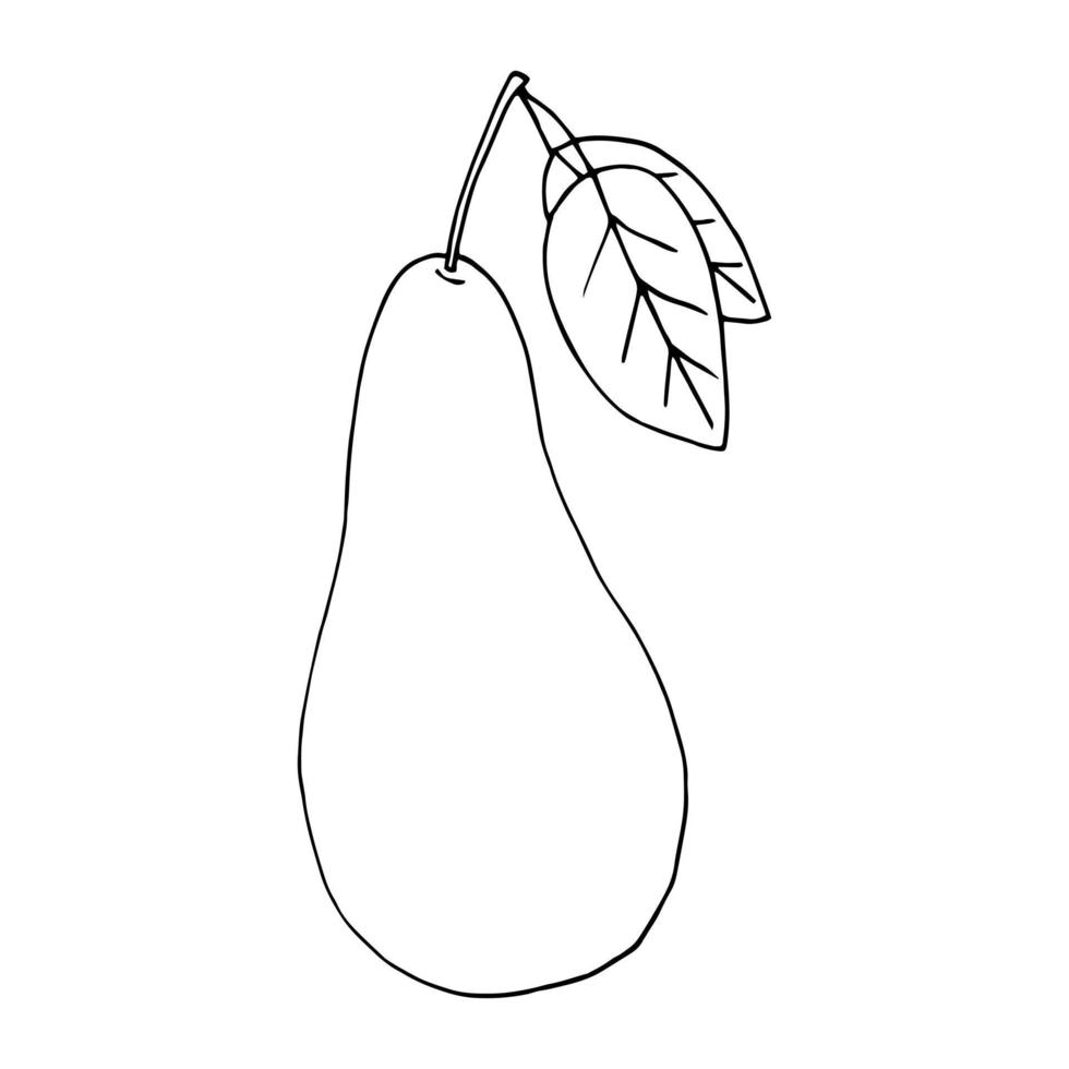 päron med blad hand dragen i klotter stil. frukt, mat. ikon, klistermärke. vektor