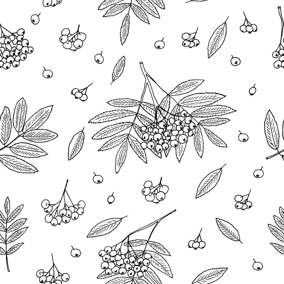 Vogelbeeren, Trauben und Blätter nahtlose Muster handgezeichnet im Doodle-Stil. Textil, Tapete, Hintergrund, Geschenkpapier, digitales Papier. vektor