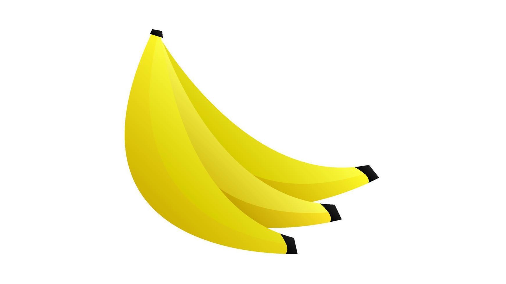 vektor banan illustration. hand dragen banan gren. färsk gul frukt. vattenfärg botanisk målning