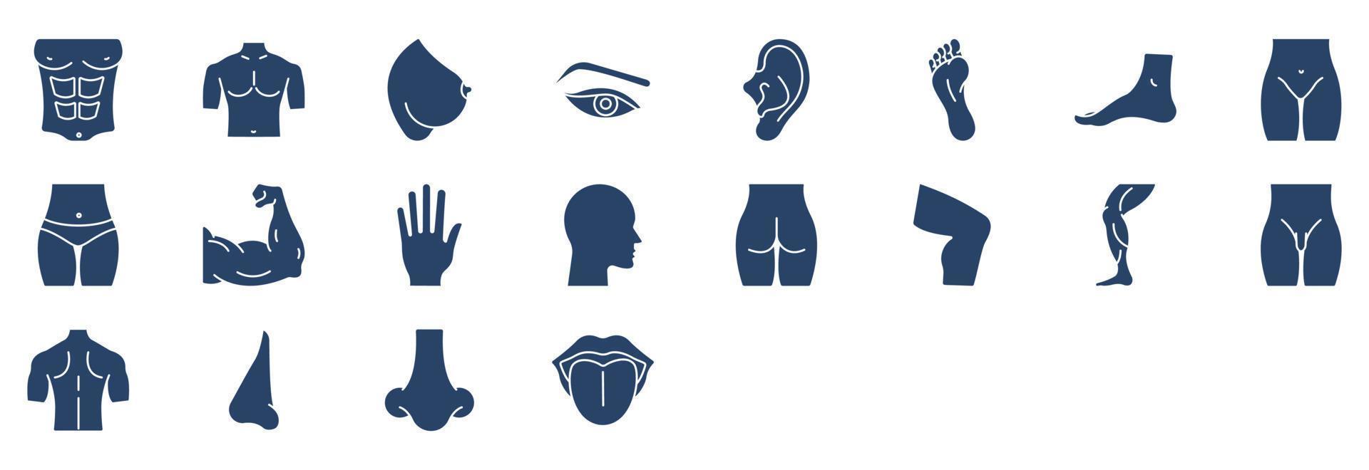 Sammlung von Symbolen, die sich auf menschliche Körperteile beziehen, einschließlich Symbolen wie Körper, Brust, Auge, Augen und mehr. vektorillustrationen, pixelperfekter satz vektor