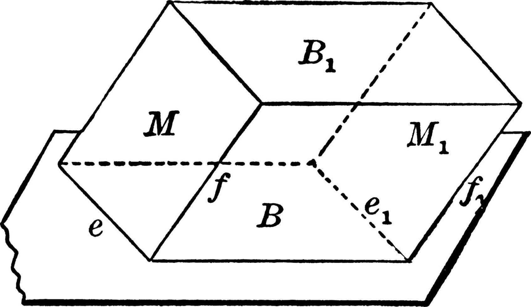 parallellepiped, årgång illustration. vektor