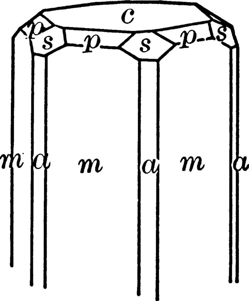 beryll kristall, årgång illustration. vektor