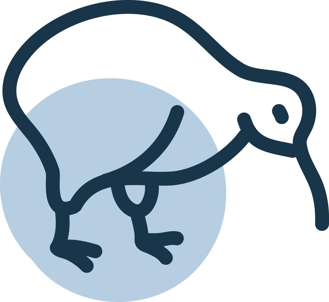 Kiwi-Vogel, Illustration, Vektor, auf weißem Hintergrund. vektor