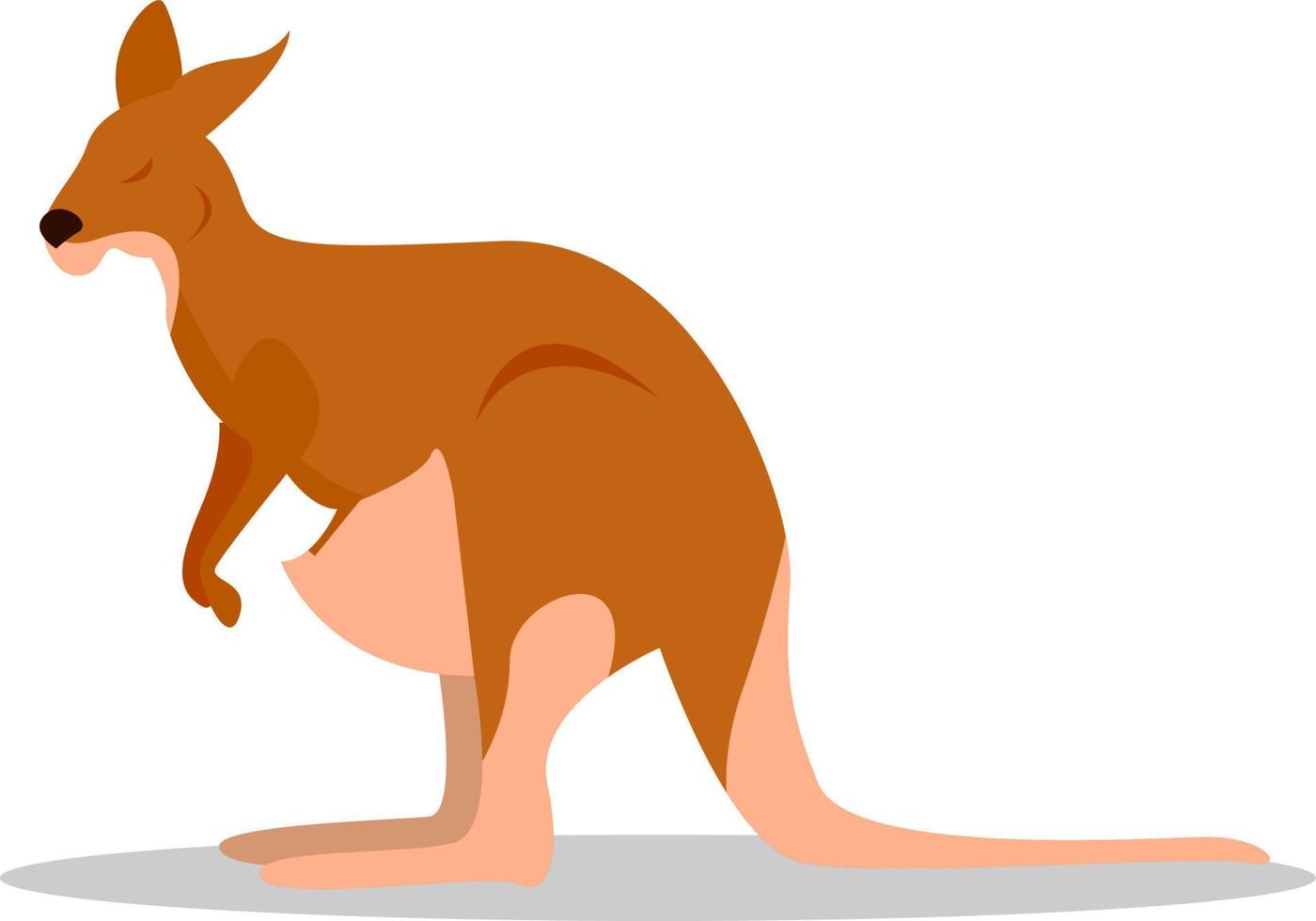 Känguru, Illustration, Vektor auf weißem Hintergrund.