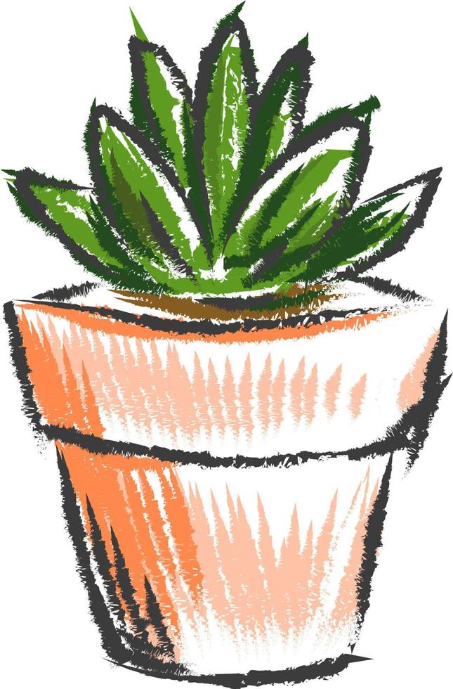 Pflanze im Topf, Illustration, Vektor auf weißem Hintergrund.