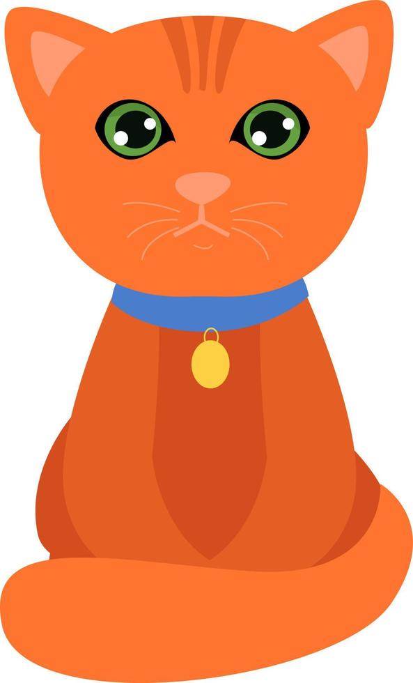 orange Katze, Illustration, Vektor auf weißem Hintergrund