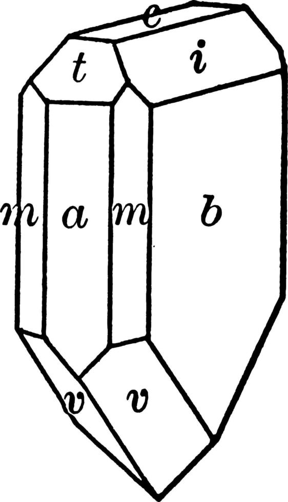 kalamin, årgång illustration. vektor