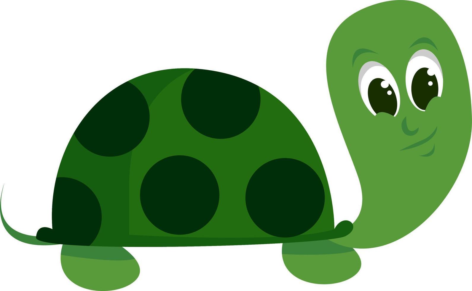 grüne süße Schildkröte, Illustration, Vektor auf weißem Hintergrund.