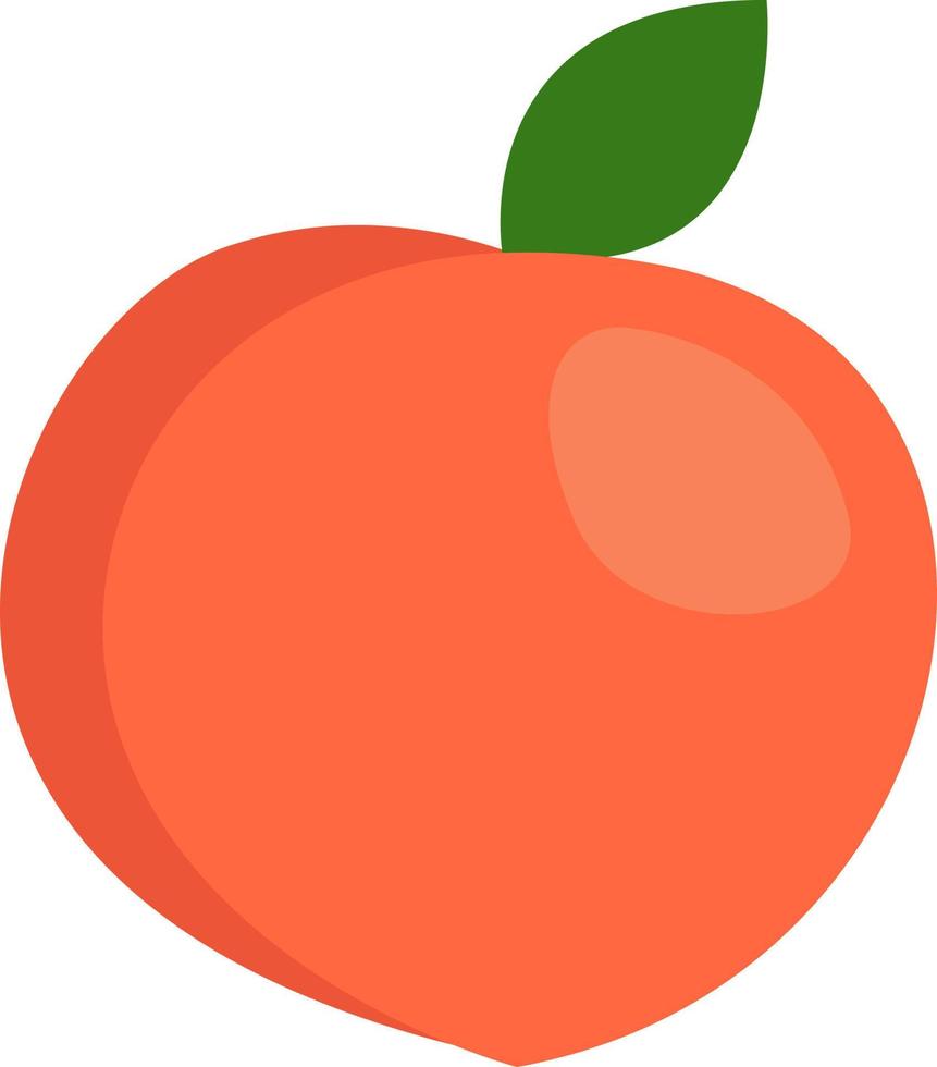 persika frukt, illustration, vektor på en vit bakgrund.